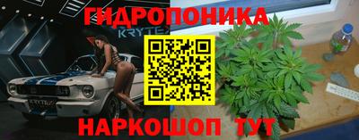 каннабис Кимры
